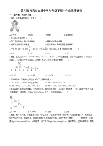 10，四川省南充市白塔中学2023-2024学年八年级下学期5月期中考试数学试题(无答案)