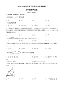 18，山东省日照市东港区田家炳实验中学2023-2024学年七年级下学期期中数学试题(无答案)