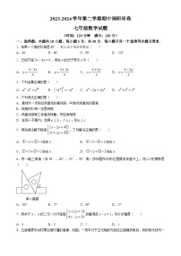 21， 山东省聊城市临清市2023-2024学年七年级下学期期中考试数学试题