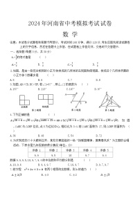 2024年河南省周口市沈丘县三校联考中考二模数学试题