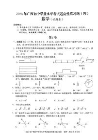 广西岑溪市糯垌中学联考2023-2024学年九年级下学期第四次月考数学试题