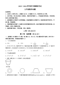 四川省成都市龙泉驿区2023-2024学年九年级下学期期中数学试题