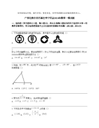 广西壮族自治区崇左市宁明县2024年中考数学一模试题