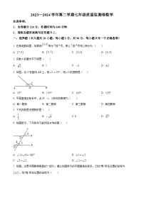 甘肃省定西市岷县2023-2024学年七年级下学期期中数学试题（原卷版+解析版）