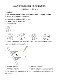 广西壮族自治区防城港市上思县2023-2024学年七年级下学期期中数学试题（原卷版+解析版）