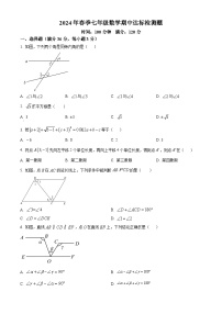 海南省省直辖县级行政单位临高县2023-2024学年七年级下学期5月期中数学试题（原卷版+解析版）