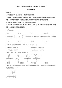 内蒙古自治区鄂尔多斯市伊金霍洛旗2023-2024学年七年级下学期5月期中考试数学试题