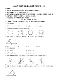 2024年陕西省宝鸡市教育联盟校中考二模数学试题