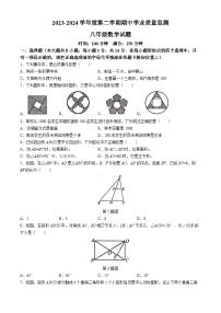 江苏省连云港市灌云县2023-2024学年八年级下学期期中数学试题