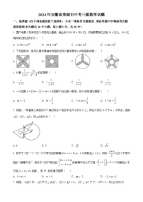 2024年安徽省芜湖市中考三模数学试题（原卷版+解析版）
