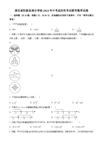 2024年湖北省黄石市阳新县部分学校中考模拟数学试题（原卷版+解析版）