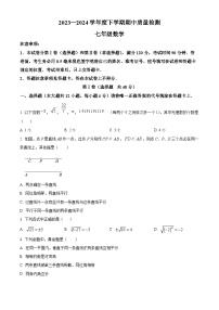 山东省临沂市费县2023-2024学年七年级下学期期中数学试题（原卷版+解析版）