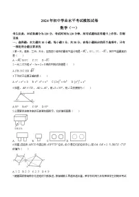 甘肃省酒泉市2024届九年级下学期中考一模数学试卷(含答案)