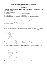 山东省淄博市高青县2023-2024学年七年级下学期期中数学试题