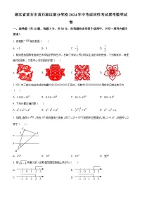 2024年湖北省黄石市黄石港区部分学校中考模拟考试数学试题（原卷版+解析版）