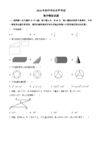 2024年山东省泰安市泰山区初中学业水平测试九年级数学一模试题（原卷版+解析版）