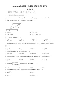 安徽省淮南市凤台县部分学校2023-2024学年七年级下学期期中数学试题（原卷版+解析版）