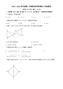 陕西省渭南市临渭区部分学校2023-2024学年八年级下学期期中数学试题（原卷版+解析版）