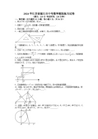 85，2024年江苏省镇江市中考数学模拟练习试卷