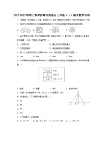 山东省济南市高新区2022-2023学年七年级下学期期末数学试卷（含答案与解析）