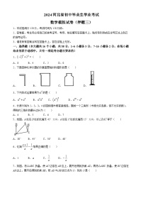 2024年河北省邯郸市第十三中学中考模拟数学试题(无答案)