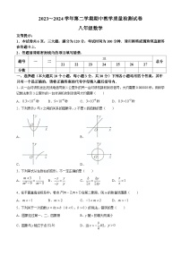 河南省洛阳市新安县2023-2024学年八年级下学期期中数学试题