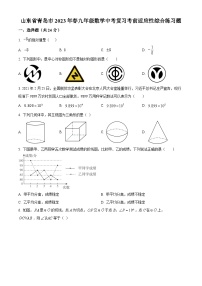 2023年山东省青岛市九年级数学中考复习考前适应性综合模拟预测题（原卷版+解析版）