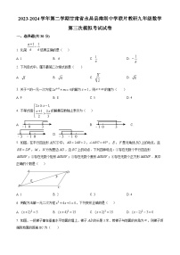 2024年甘肃省金昌市永昌县南坝中学联片教研中考三模数学试题（原卷版+解析版）