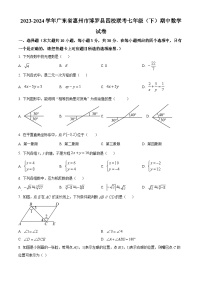 广东省惠州市博罗县四校联考2023-2024学年七年级下学期期中数学试题（原卷版+解析版）