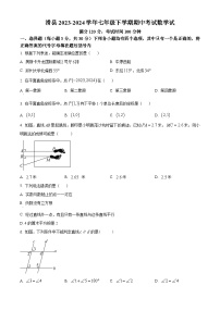 河南省安阳市滑县2023-2024学年七年级下学期期中数学试题（原卷版+解析版）