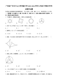 广东省广州市中山大学附属中学2023-2024学年九年级下学期开学考试数学试题