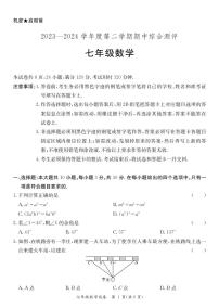 广东省河源市紫金县2023-2024学年七年级下学期期中考试数学试题