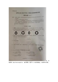 广东省深圳市龙华区2023-2024学年下学期九年级数学调研测试数学试题