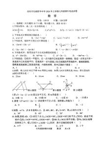 湖南省岳阳市弘毅新华中学2023-2024学年七年级下学期期中考试数学试卷