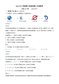 湖南省岳阳市岳阳县2023-2024学年八年级下学期期中数学试题