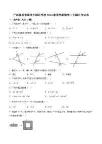 广西壮族自治区桂林市国龙外国语学校2023-2024学年七年级下学期期中数学试题（含解析）