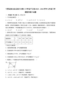 宁夏回族自治区银川市第三中学治平分校2023—2024学年七年级下学期数学期中试题（含解析）