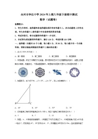 2024年湖南省永州市冷水滩区李达中学八年级下学期期中数学试题（含解析）