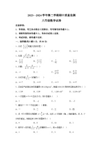 河南省洛阳市宜阳县2023-2024学年八年级下学期期中数学试题（含解析）