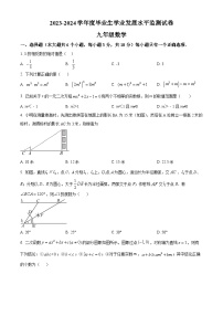 2024年江西省抚州市临川区中考一模数学试题（原卷版+解析版）