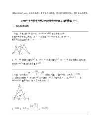 2024年中考数学考前20天终极冲刺专题之线段最值（一）