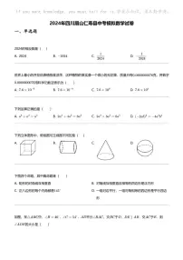 2024年四川眉山仁寿县中考模拟数学试卷