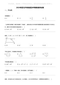 2024年四川泸州纳溪区中考模拟数学试卷