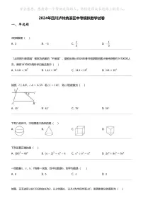 2024年四川泸州纳溪区中考模拟数学试卷