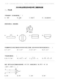 2024年山东枣庄市中区中考二模数学试卷