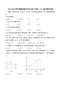 2023-2024学年福建省漳州市华安县八年级（下）期中数学试卷（含解析）