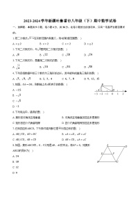 2023-2024学年新疆吐鲁番市八年级（下）期中数学试卷（含解析）