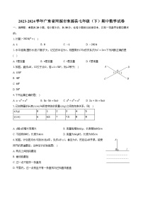 2023-2024学年广东省河源市东源县七年级（下）期中数学试卷（含解析）