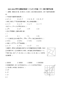 2023-2024学年安徽省芜湖二十九中八年级（下）期中数学试卷（含解析）