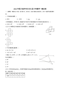 2024年四川省泸州市合江县中考数学一模试卷（含解析）